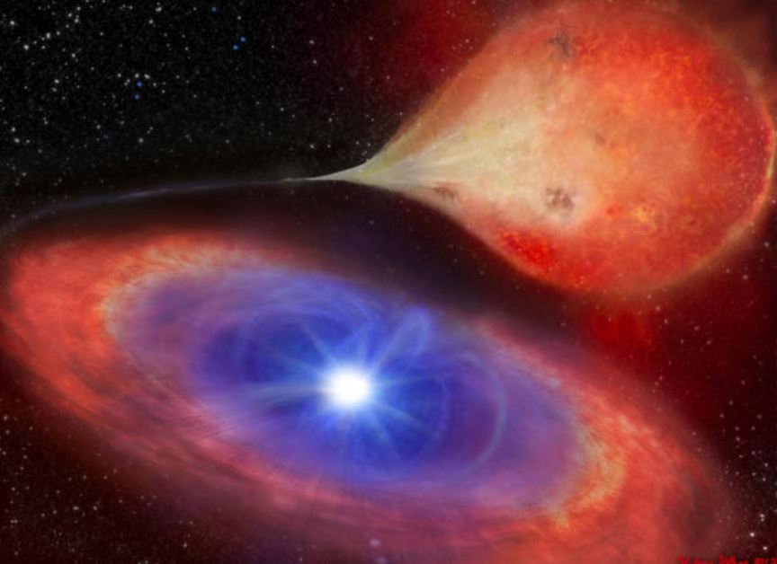 TESS обнаружил пульсирующего белого карлика в системе TW Pictoris